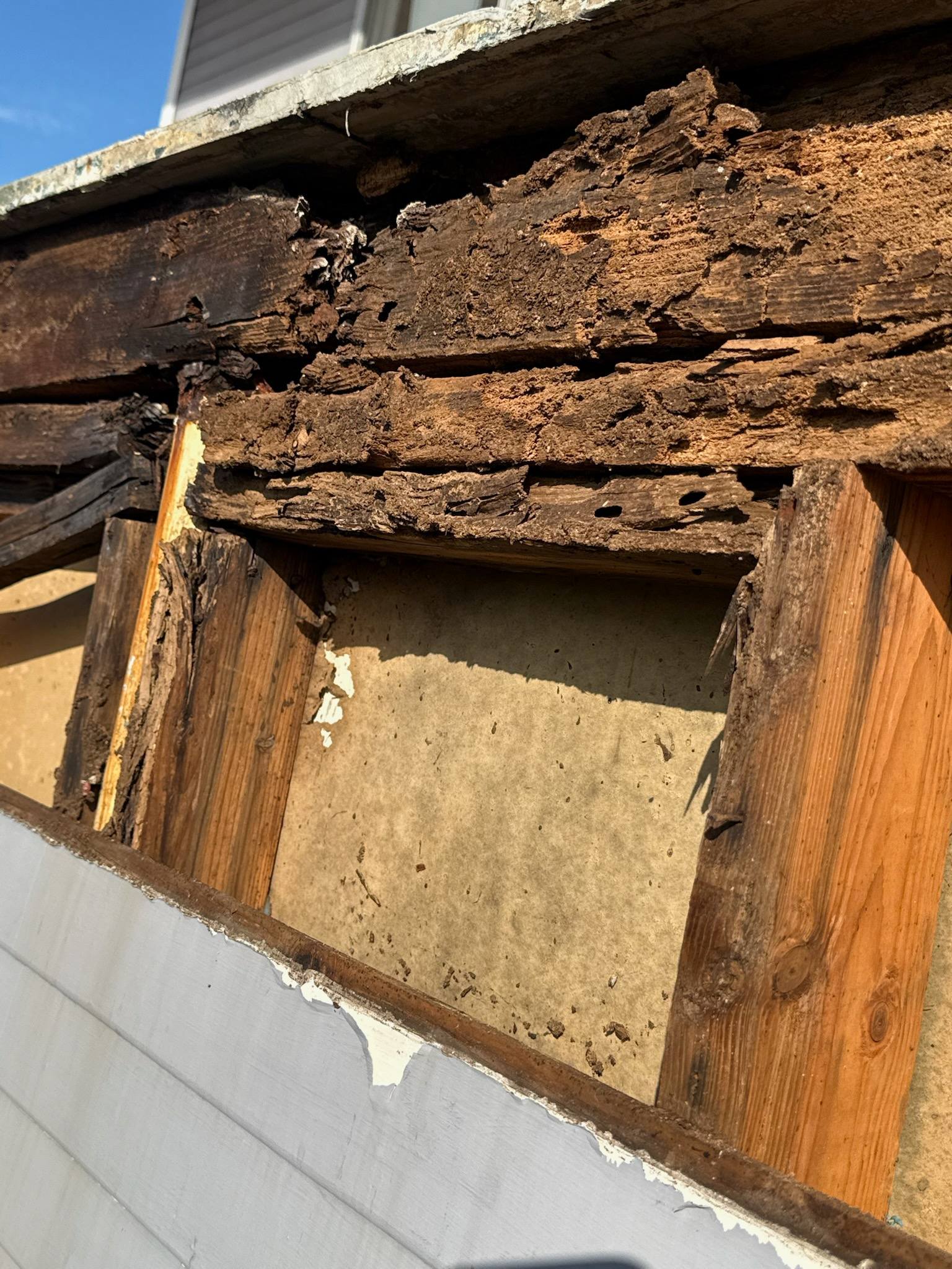 Rotted timber exposed in a wall before repair