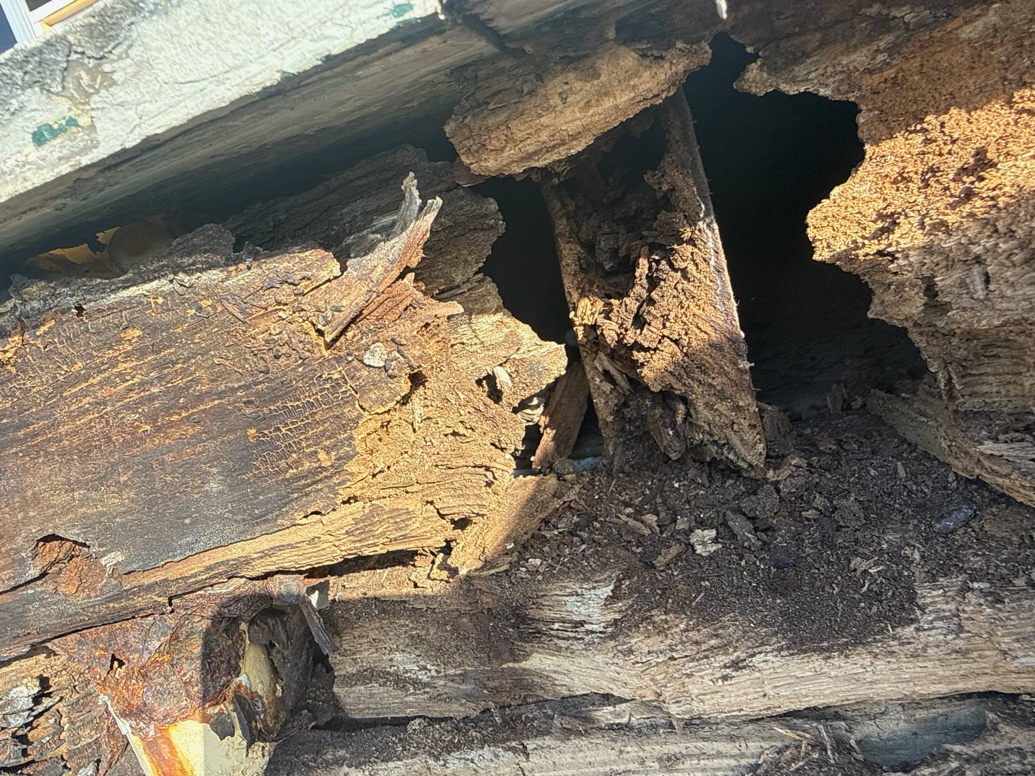 Rotted structural timber before repair